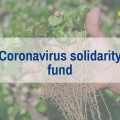 Coronavirus solidarity fund item.jpg