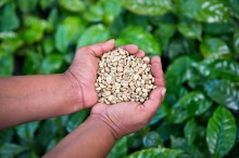 Internationaler Tag des Kaffees