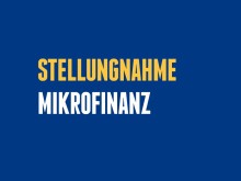 Stellungnahme Mikrofinanz
