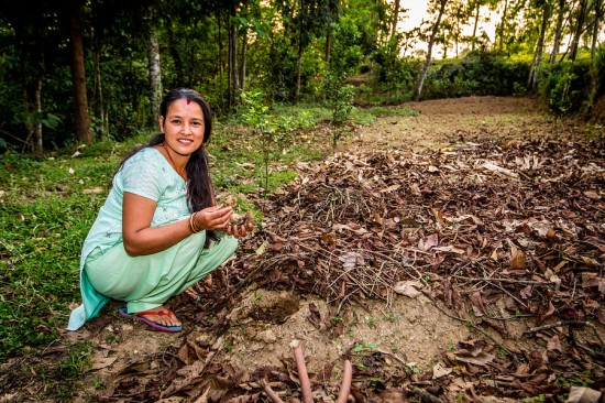 Priti Thapa arbeitet als Teepflückerin auf der Pandam-Plantage.
