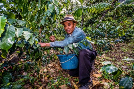 Domingo Medina Zacharias CHAJU-GT-115