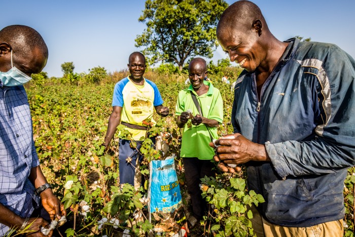 Nabe Kobe mit Arbeitern, die er für die Baumwollernte eingestellt hat Nabe Kobe mit Arbeitern, die er für die Baumwollernte eingestellt hat