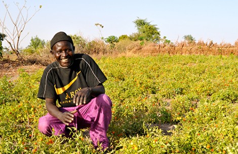 Adama Thiaw auf seinem Feld